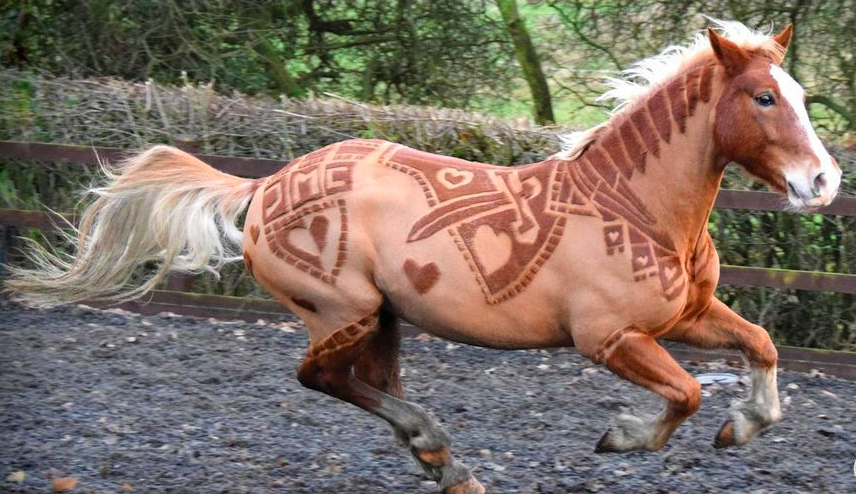 Horses become hairy work of art